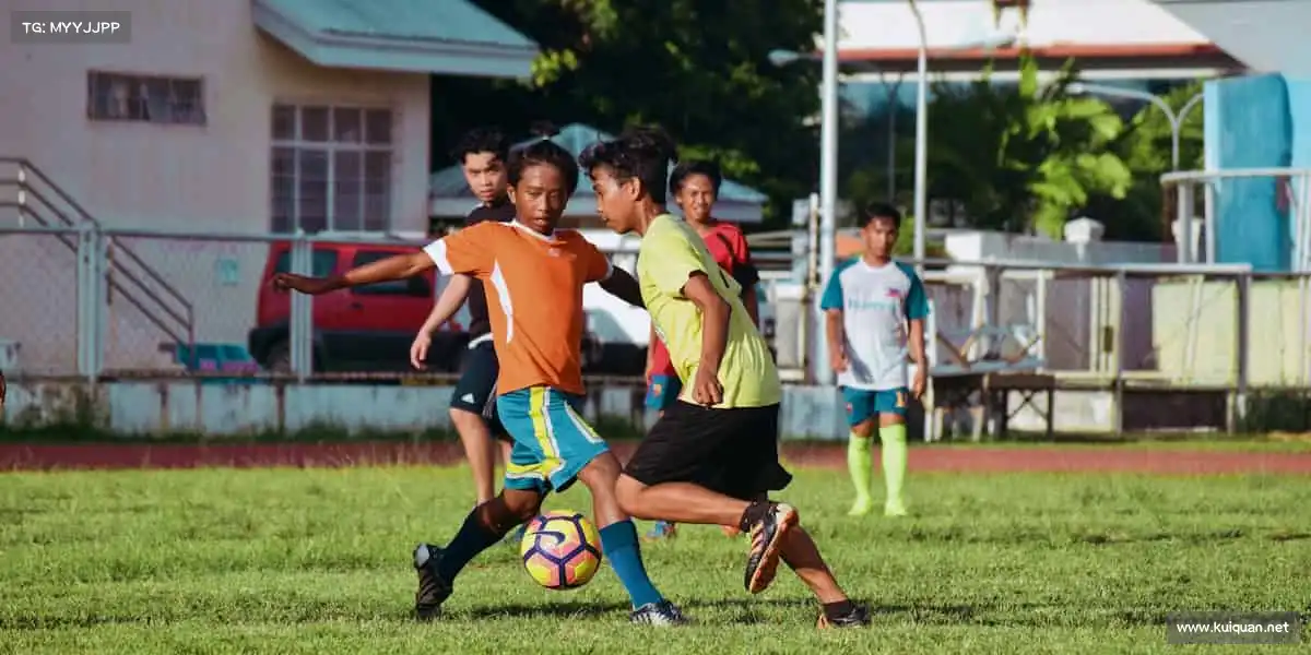 行业领先的理由